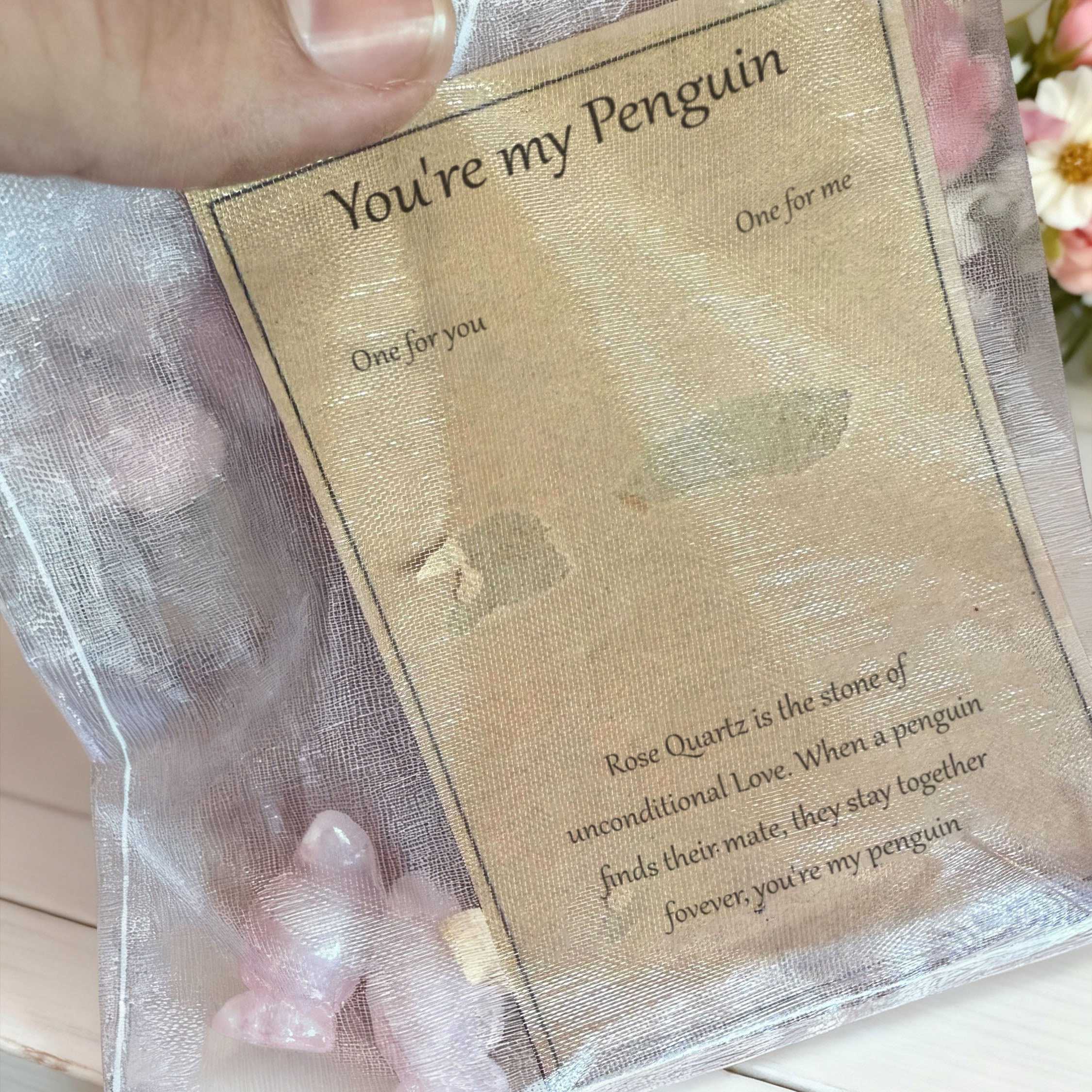 Eres mi pingüino