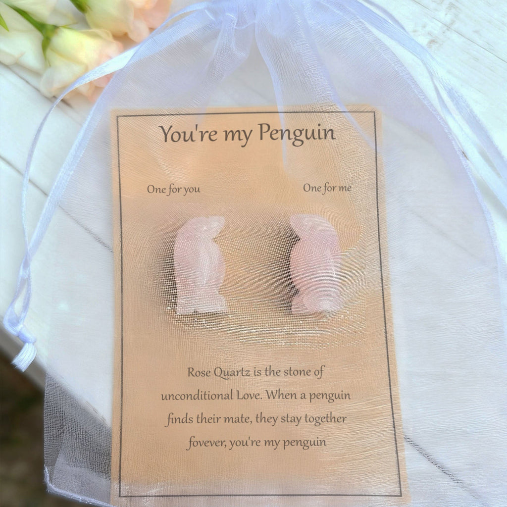 Eres mi pingüino